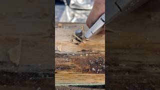 Precision at its finest construction framing hardwork trending asmr [upl. by Albertina]