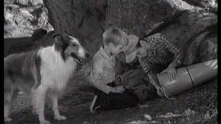 Lassie  Episode 200  quotSpace Travelerquot  Season 6 Ep 18  01101960 [upl. by Anyahs]