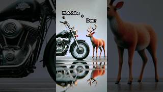 Motorbikedeer 🦌🛵ai comedy howtomakegolgappa coversong animal funny shorts [upl. by Aztilem]