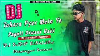 Hamra Pyar Mein Had Se Gujar Jaibu Ka New Bhojpuri dj gana Remix Song Mix By Dj Sudip Sunsari [upl. by Atnwahs358]