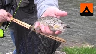 WOOLLY BUGGER MONDAY  Fly Fishing in Pennsylvania [upl. by Balthazar]