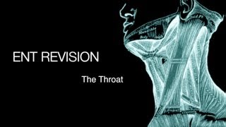 ENT Revision  The Throat [upl. by Airotel]