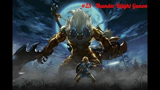 BOTW No death Master Mode Part 25  Thunder Blight Ganon Fight [upl. by Thay152]