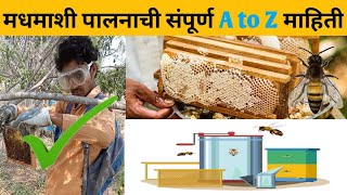 कमी गुंतवणुकीत जास्त उत्पादन मधमाशीपालन 🤯😱 beekeeping honeybee youtube [upl. by Inavoy358]