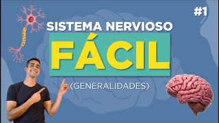 🧠 SISTEMA NERVIOSO CENTRAL Y PERIFÉRICO Resumen Simpático y Parasimpático [upl. by Atirb]