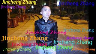 Stabilise Def Disko  Jincheng Zhang Official Music Video [upl. by Alyakam]