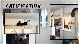 Cat Climbing Wall DIY Its Renter Friendly too [upl. by Nelleeus]