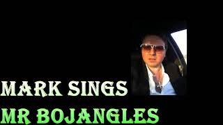 Mr Bojangles [upl. by Arlee]