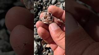 Wow very very nice stone please viral my this video stone viralvideo youtubeshorts viralvideo ￼ [upl. by Anavoig]