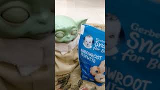 baby Yoda with his favorite snacks Gerber arrowroot biscuits [upl. by Vahe561]