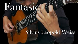 ファンタジー（ヴァイス）Fantasie  Silvius Leopold Weiss【guitar】 [upl. by Anora]