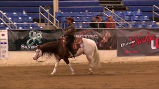 Titans 2018 Cactus Reining Classic Open Derby Run [upl. by Nylaroc835]