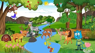 Discover Deers  toddler learning video animals  Deers world  sam show [upl. by Wailoo]