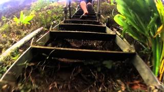 Stairway to Heaven Hike Hawaii  GoPro [upl. by Neersan]