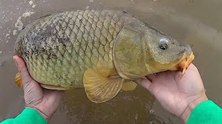 Keep It Simple Carp Fishing  Easy Method For Catching Carp [upl. by Alpheus770]