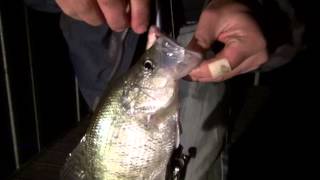 Winter Crappie Night Fishing  OOW Outdoors [upl. by Saideman]