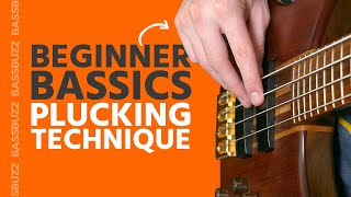 Basic Bass Plucking Technique Beginner Bass Basics [upl. by Chloras]