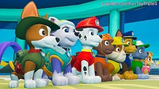 Paw Patrol On A Roll 1 Chase and Marshall Save The Ducks [upl. by Slaby]