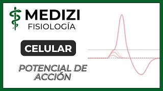 Clase 5 Fisiología  Potencial de acción IGdoctorpaiva [upl. by Ynelram]