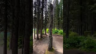 Moraine Lake Banff National Park Alberta 🇨🇦 travel nature canada shorts banff [upl. by Doran]