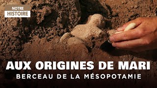 Retour en Mésopotamie  Les Origines de Mari Ville royale  Documentaire Archéologie  AMP [upl. by Ylac]