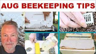 Beekeeping TIPS For The Month of AugustYou Can Do It [upl. by Taima]