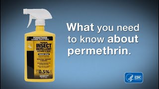 What You Need to Know about Permethrin [upl. by Hama]