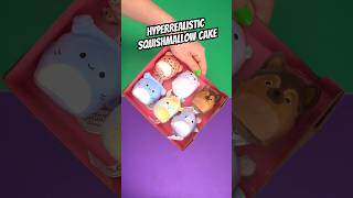 Squishmallow Makeover Hyperrealistic Cake Edition [upl. by Trocki]