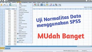 Uji Normalitas Data menggunakan SPSS [upl. by Htrap]