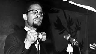 MALCOLM X  OAAU Homecoming Rally November 29 1964 [upl. by Francois681]