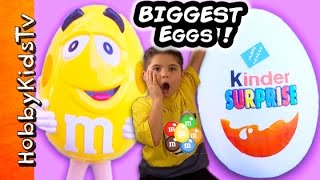 Giant KINDER Eggs with Surprise Toys [upl. by Oek165]