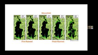 Asessing hydrologic restoration in MA marshes [upl. by Aeli]