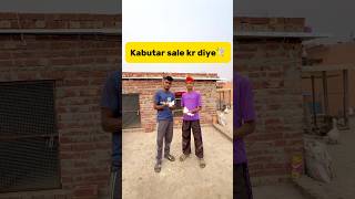 Kabutar sale kr diye🕊️ petlover minivlog pigeonvlogger pigeon kabutar birds sale viralshort [upl. by Nauquf221]