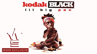 Kodak Black quotVibin In This Bihquot Feat Gucci Mane WSHH Exclusive  Official Audio [upl. by Ardnuas]