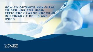 How to optimize nonviral CRISPR HDR for highefficiency large knockin in primary T cells and iPSCs [upl. by Everrs]