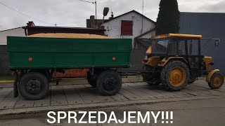 Sprzedajemy pszenice czyli trzy dniowy skrót jak wygląda u nas załadunek i transport zboża [upl. by Eniarol]