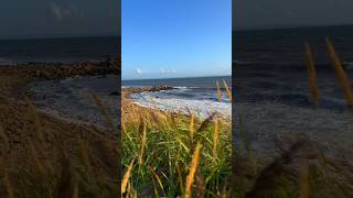 Grötvik Halmstad beach waves summer relaxing travel sweden shorts beautifuldestinations [upl. by Atwater]