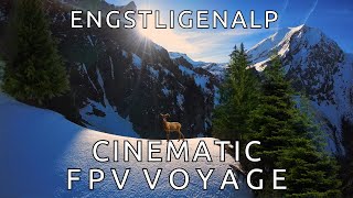 Cinematic Flight Swiss Alps Lohner Bern [upl. by Acirderf]