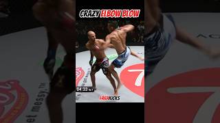 Crazy Elbow Blow muaythai mma boxing [upl. by Alejna]