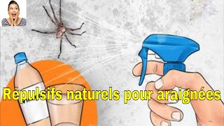 Répulsifs naturels pour araignées  vous ne verrez plus jamais une autre araignée dans votre maison [upl. by Elyak]