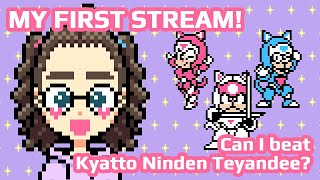 My First Stream Can I beat Kyatto Ninden Teyandee [upl. by Assenahs]