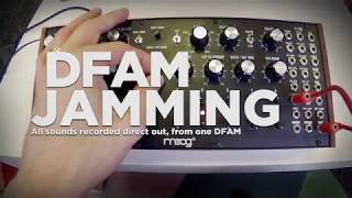 Moog DFAM Techno Jam No Talking [upl. by Ker]