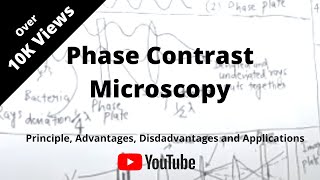 Phase Contrast Microscopy [upl. by Yendahc544]