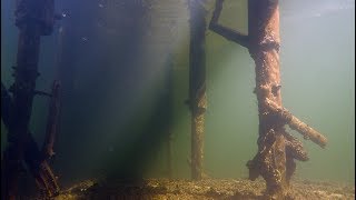 Recreational diving in Plön Lake Germany  February 2018 [upl. by Orpah]