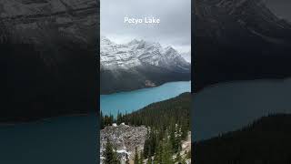 Peyto Lake banffnationalpark banffcanada jaspercanada [upl. by Verile]