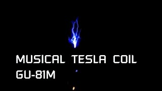 Audio modulation of electric discharge Tesla coil GU81M Musical coil [upl. by Gerome]