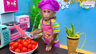 Chef BiBi harvests string beans to feed baby monkey Obi [upl. by Ellak175]