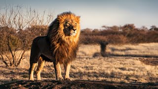 TANZÂNIA SELVAGEM  Natureza impiedosa e tribos ancestrais [upl. by Consuela]