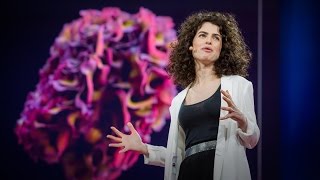 Design at the Intersection of Technology and Biology  Neri Oxman  TED Talks [upl. by Dunc620]