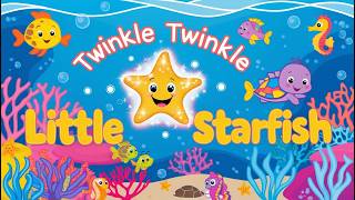 Twinkle Twinkle Little Starfish 🌟  Fun amp Educational Ocean Song for Kids  YoYoKids [upl. by Herzen]